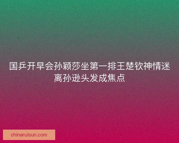 国乒开早会孙颖莎坐第一排王楚钦神情迷离孙逊头发成焦点